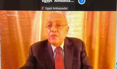وزير الخارجية يشارك في اجتماع أصدقاء تجمع بريكس الوزاري