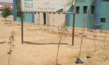 محافظ أسيوط : استمرار أعمال التشجير بمركزى القوصية وديروط