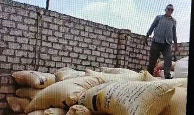 ضبط «33 طن و740 كيلو قمح» محلي قبل تهريبه وبيعه بالسوق السوداء بمركز فاقوس