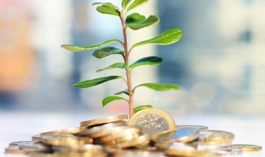 أستاذ تمويل: الاستثمار مفتوح للمصري والأجنبي داخل مصر