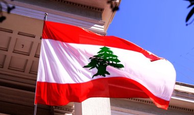 الخارجية اللبنانية: ارسال فريق تحقيق إلى فرنسا إثر اتهام سفير لبنان بالاغتصاب والعنف