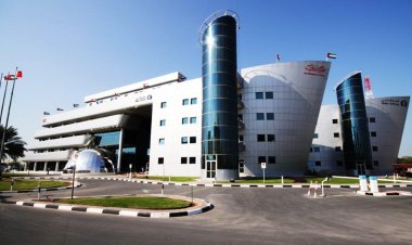 جمارك دبي تساعد السلطات الكندية في ضبط نصف طن من المواد المخدرة