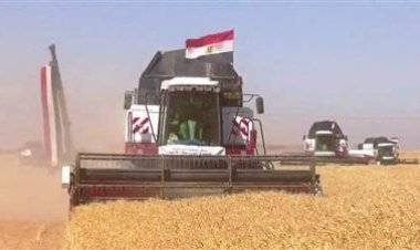«ارتفاع حجم الصادرات.. وزيادة التعاقدات».. تعرف على أبرز إنجازات القطاع الزراعى خلال 9 سنوات