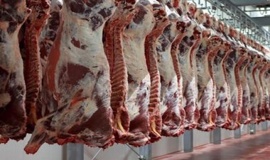 كيف أصبحت أسعار اللحوم ومشتقاتها اليوم الأثنين 6-5-2023 ؟