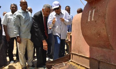 محافظ أسيوط يعلن توريد 100 ألف طن قمح للشون والمطاحن حتى اليوم