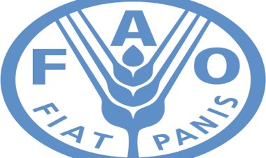 الفاو تكشف أسباب تراجع أسعار الغذاء عالميًا