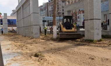 تنفيذ أعمال حملة مكبرة لاعادة وإحلال وتجديد النجيلة بالنصب التذكاري بالدقهلية