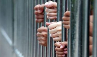 السجن المشدد 10 سنوات لـ 4 أشخاص بتهمة سرقة مواطن بالإكراه