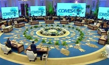 مشاركة مصر بالكوميسا.. خبير صناعي: «شركاتنا أصبحت نماذج عالمية»  