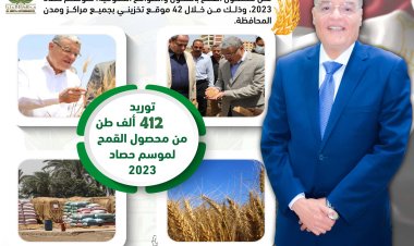 شون وصوامع المنيا تستقبل 401 ألف طن من محصول القمح بجميع المراكز