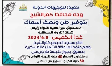 محافظ كفر الشيخ: «طرح طن ونصف أسماك بسعر 40 و50 جنيه للكيلو»
