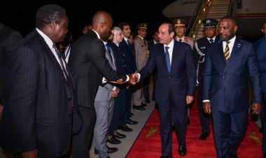 عاجل.. الرئيس السيسي يصل إلى زامبيا للمشاركة في قمة «كوميسا»