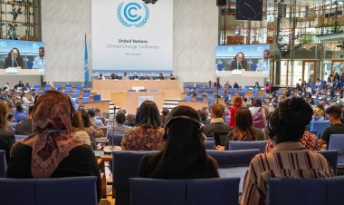 الإمارات تستضيف مؤتمر الأمم المتحدة للشباب لتغير المناخ «COY 18» نوفمبر القادم