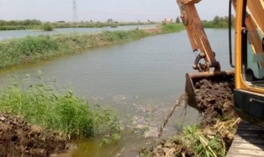 16 حالة إزالة لمزارع سمكية مخالفة بجمعية الإخلاص الزراعية جنوب بورسعيد