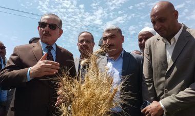 محافظ كفر الشيخ: توريد 247 ألفا و41 طنا و 253 كيلو قمح بنسبة توريد 88.43%