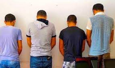 سقوط عصابة «تحديث بيانات الفيزا» بالمنيا في قبضة الشرطة