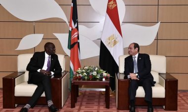 عاجل.. الرئيس السيسي يعود لأرض الوطن بعد جولة خارجية في جنوب القارة الأفريقية