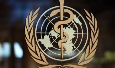 الصحة العالمية تتوقع زيادة إصابات السرطان بنسبة 77% على مستوى العالم