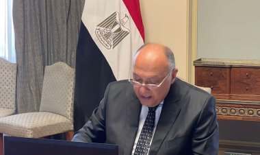« شكري» يترأس اجتماعا افتراضيا لهيئة مكتب المؤتمر على هامش اجتماعات بون حول المناخ