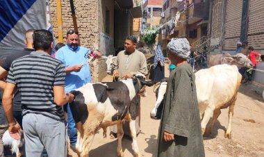 تنظيم قافلة طبية بيطرية شاملة بالمجان بقرية العجمى في الشرقية