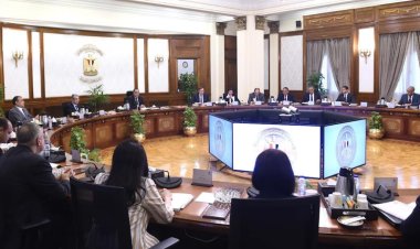 مدبولي: نعمل على تعظيم القيمة المضافة من الصناعات القائمة على الثروة المعدنية