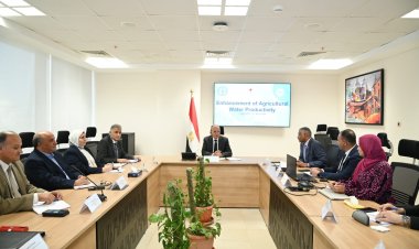 سويلم يبحث مع مسئولي الفاو الإجراءات التنفيذية لمشروع «تعزيز إنتاجية المياه في الزراعة»
