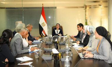 وزيرة البيئة تناقش مع مساعد منظمة الفاو سبل التعاون المستقبلي في مشروعات التكيف