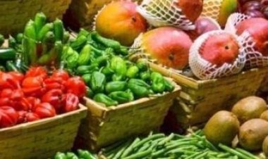 استقرار أسعار الخضروات اليوم الخميس 15-6-2023