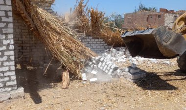 محافظ أسيوط يعلن تنفيذ إزالة لعدد 55 حالة تعدي على اراضى زراعية بمركز الفتح