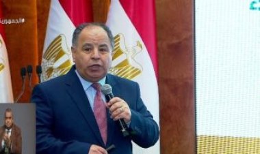 وزير المالية: الإفراج عن بضائع بقيمة 31.7 مليار دولار فى 2023