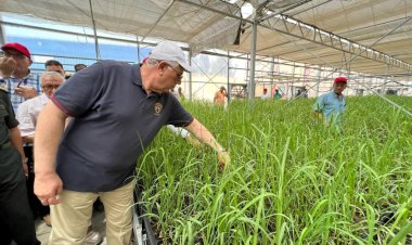 بتكلفة 300 مليون جنيه.. وزير الزراعة ومحافظ أسوان يتفقدان أول محطة لإنتاج شتلات قصب السكر