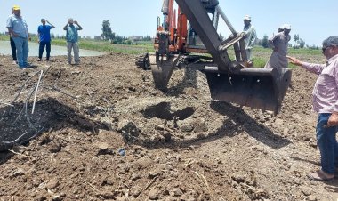 حملات نظافة وإزالة تعديات على الأراضى الزراعية ورفع كفاءة الإنارة بكفر الشيخ