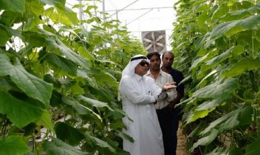 "البيئة": 1.5 مليون طلب للعمالة الزراعية في السعودية حتى نهاية مايو 2023