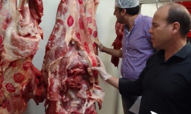 تحرير 61 محضر لحملات التفتيش بطنطا