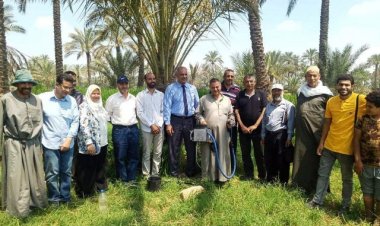 يوم تدريب حقلي في الشرقية لمكافحة سوسة النخيل