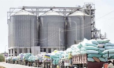 11.84 تريليون جنيه.. إجمالي الإنتاج المحلي لمصر في 2023/2024