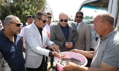 محافظ بني سويف يشهد عملية إلقاء الدفعة الأولى من مشروع انزال «500 ألف زريعة سمك بلطي»