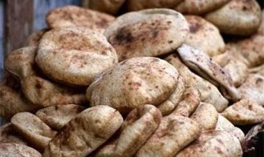 إنتاج مصر من الخبز المدعم.. 270 مليون رغيف يوميًا 