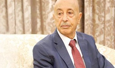 عقيلة صالح: نقدر الدور المصري الداعم للمؤسسات الليبية