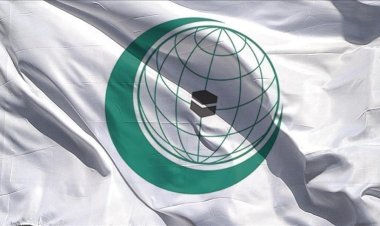 «التعاون الإسلامي» تدين بشدة اقتحام قوات الاحتلال لجنين وقرار إسرائيل تسريع الاستيطان