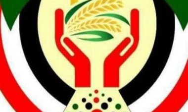 ثورة 30 يونيو.. ما الإطار القانوني الذي قامت عليه «حركة تمرد»؟
