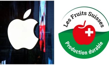 شركة «أبل» تحاول الاستيلاء على حقوق الملكية الخاصة بصور التفاح في العالم