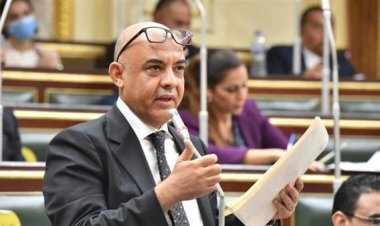 النائب عمرو هندي: الشارع المصري يترقب توصيات ومخرجات الحوار الوطني