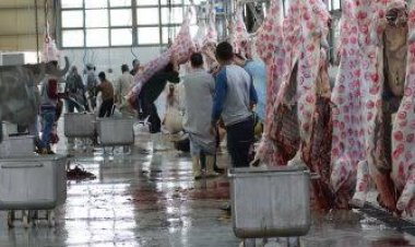 عيد الأضحى 2023.. فتح 21 مجزرًا بالمجان في الجيزة
