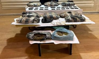 ضبط 52 كيلو حشيش وهيدرو بقيمة 2 مليون و600  ألف جنيه بالإسماعيلية