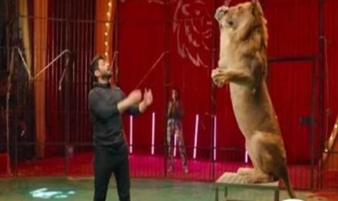 اسمه مانو.. كواليس تصوير تامر حسني لمشاهد الأسد في «تاج»