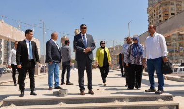 محافظ الدقهلية يوجه بسرعة انتهاء تطوير الشارع أمام استاد المنصورة