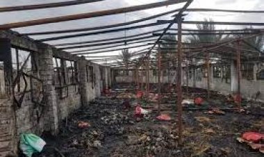 «الفراخ اتفحمت».. حريق هائل في مزرعة دواجن بالشرقية