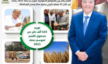 شون وصوامع المنيا تستقبل 465 ألف طن من القمح بجميع المراكز