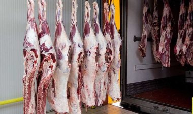 دكتور بيطري لـ المواطنين: احذروا الذبح في الشوارع لهذه الأسباب (خاص)